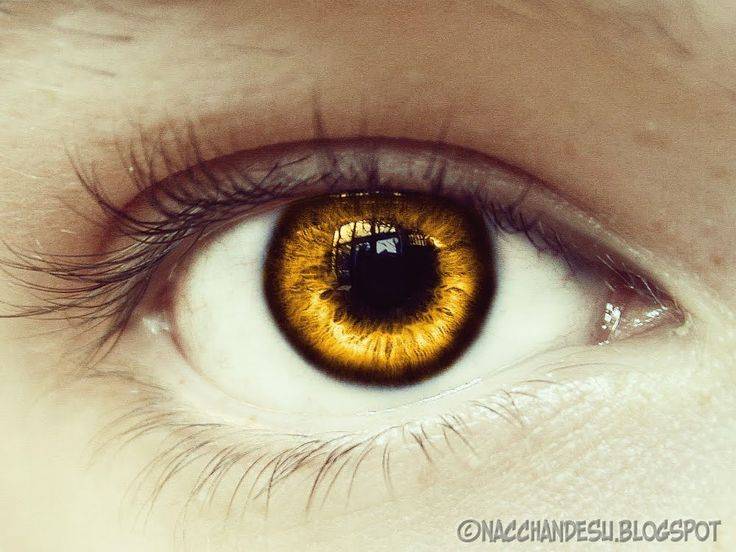 Желтый цвет глаз