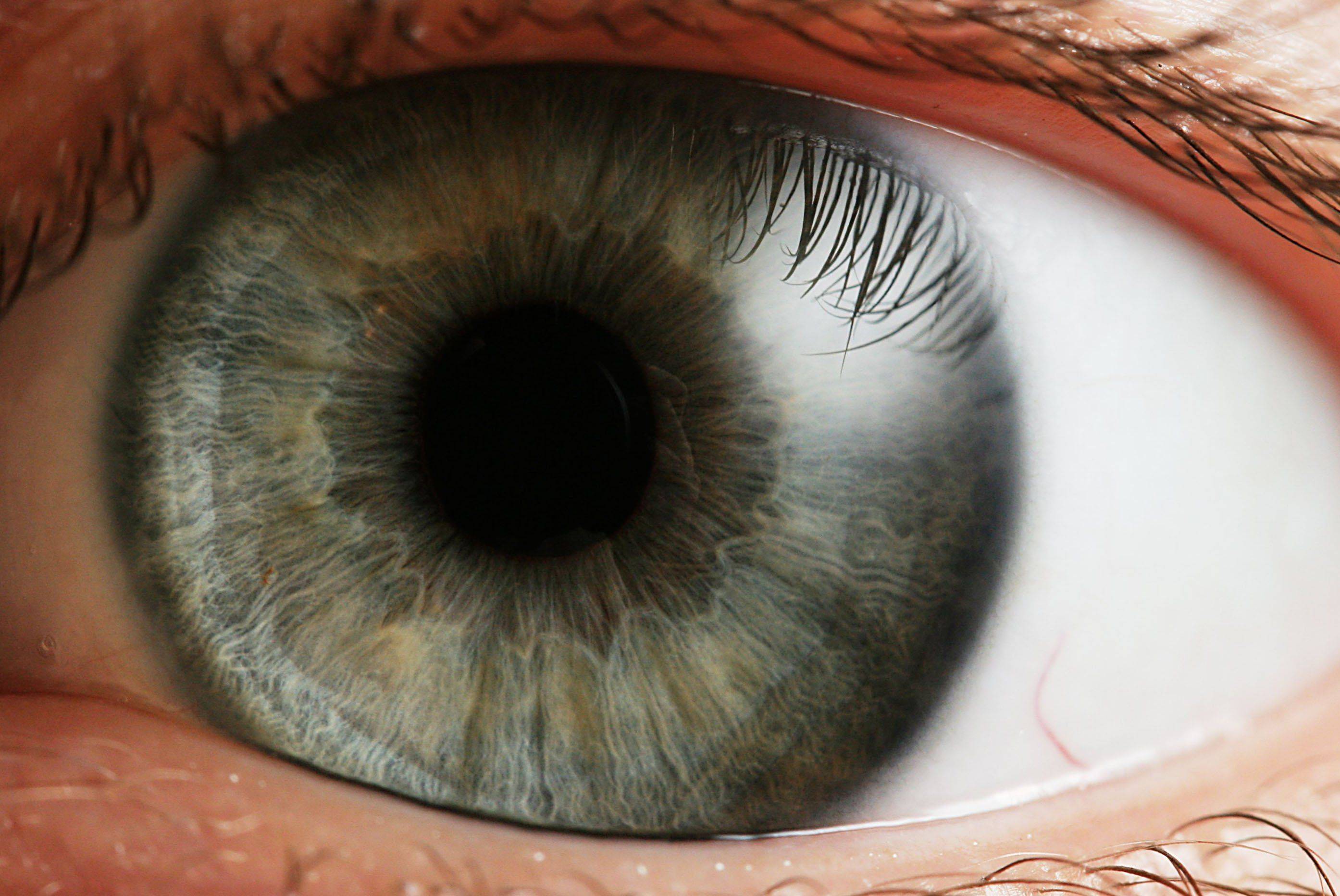 Реабилитация после лазерной коррекции зрения - "здоровое око"
