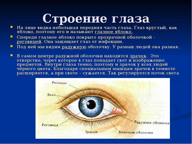 Белый налет в уголках глаз у взрослых: причины и лечение