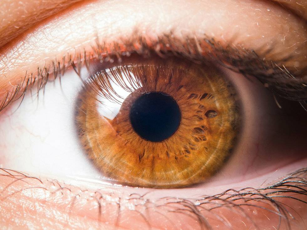 Какой самый редкий цвет глаз у людей. влияние цвета глаз на характер