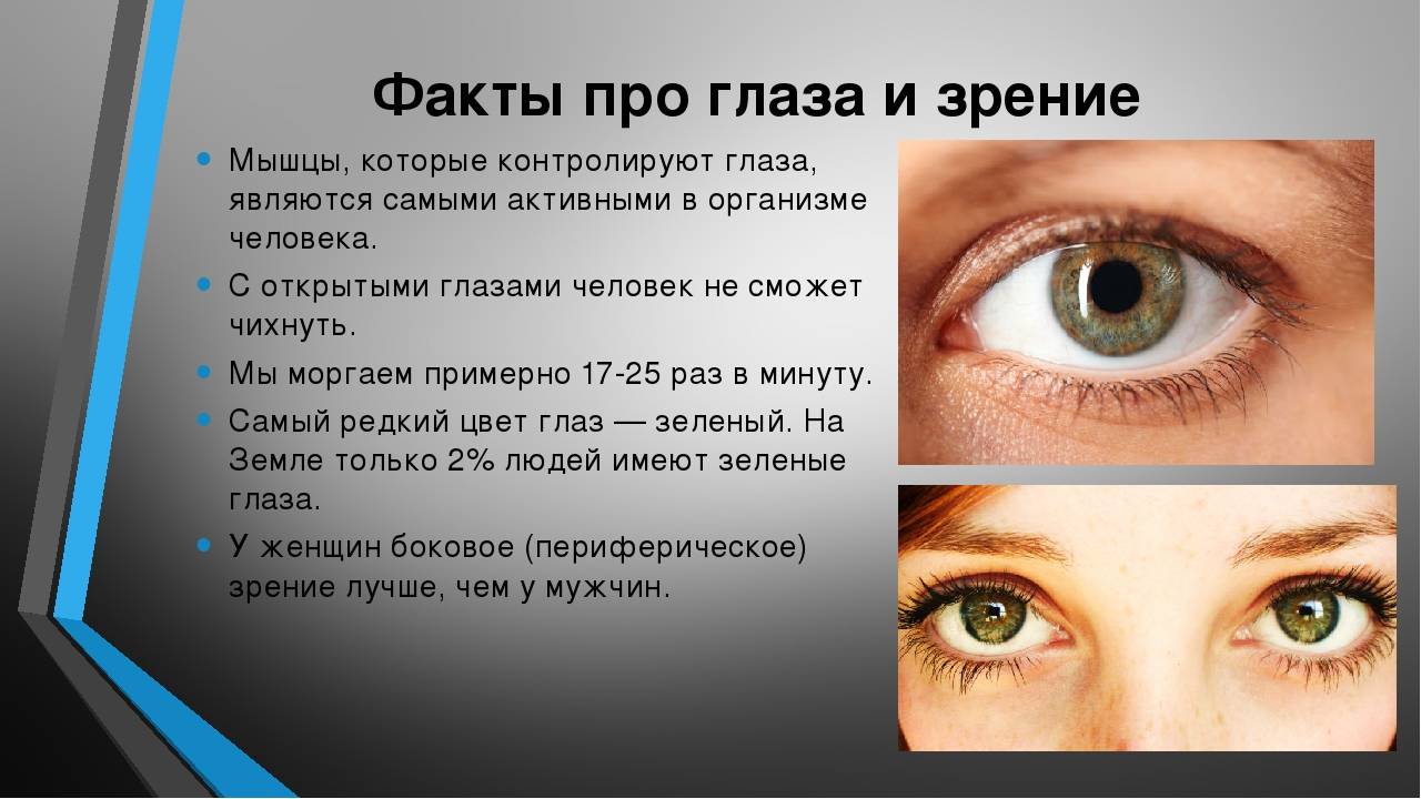 Топ самых редких цветов глаз. все факты о глазах - новая медицина