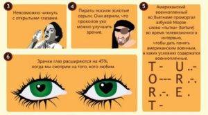Интересные факты о зрительном анализаторе человека. узнаем интересные факты о глазах. наши удивительные глаза