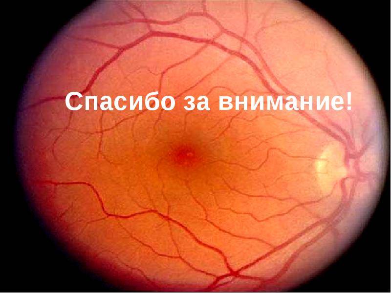 Дистрофия сетчатки глаза - причины, симптомы, лечение и профилактика