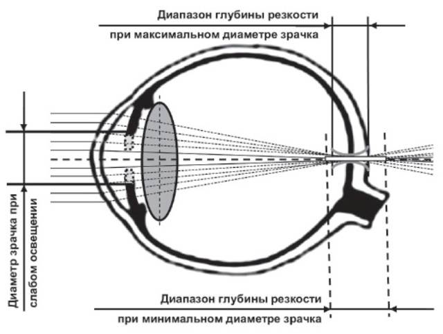 Зрачок глаза человека строение функции лечение - медицинский справочник medana-st.ru