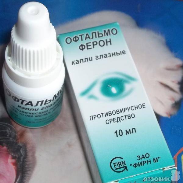 Лекарство от конъюнктивита: обзор капель и мазей - "здоровое око"