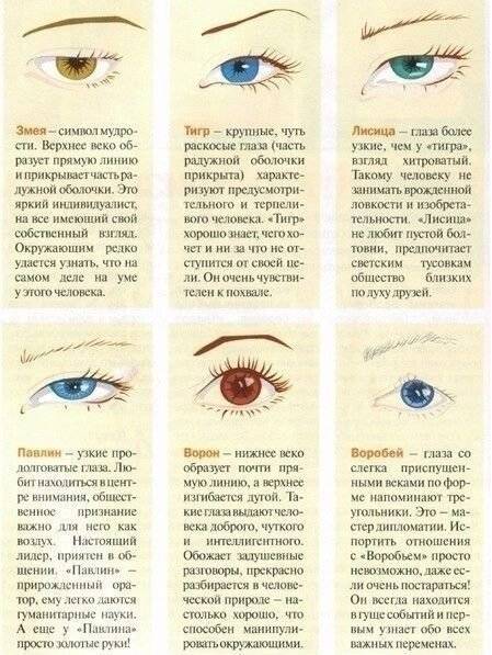 Как связаны форма глаз и характер человека