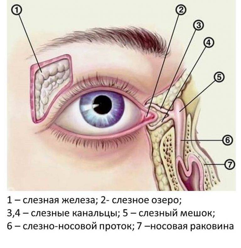 Болит внешний угол глаза при нажатии