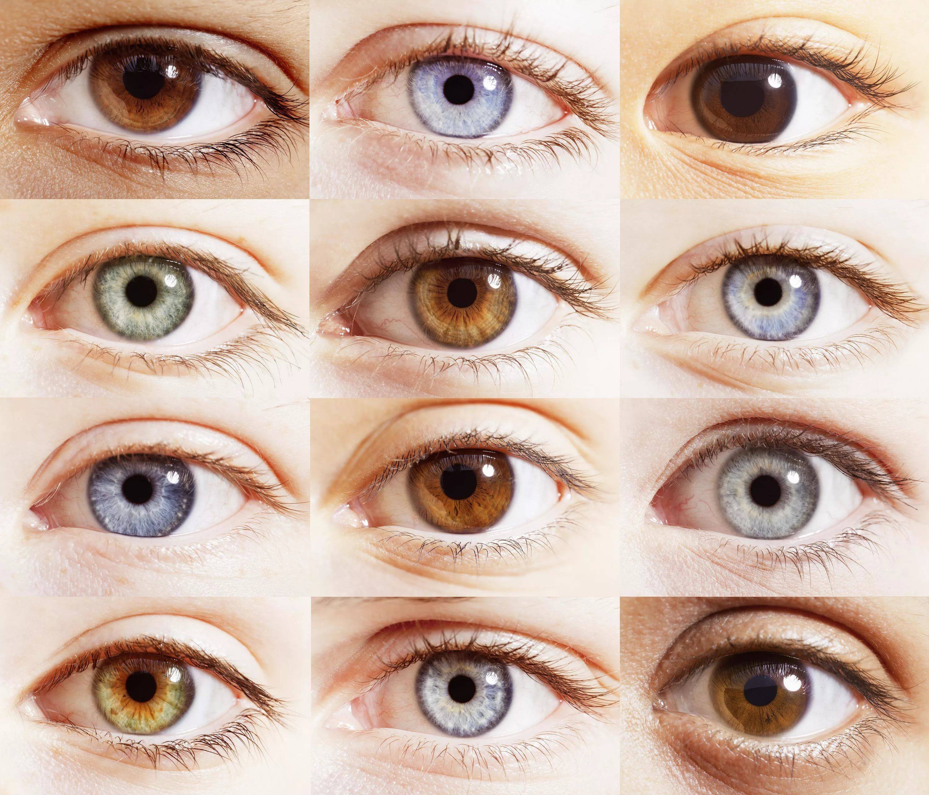 Цвет глаз человека определяется. Гетерохромия радужной оболочки. Цвет глаз. Цвету глаз. Оттенки глаз.