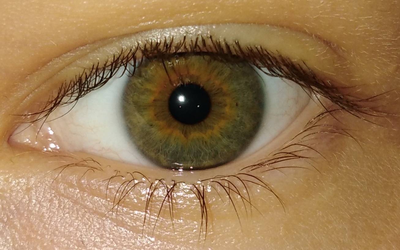 Серо-зелено-карие глаза. значение зелено - карих глаз.
