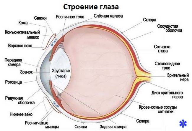 Белая точка в глазу: причины образования и методы лечения. офтальмологические заболевания