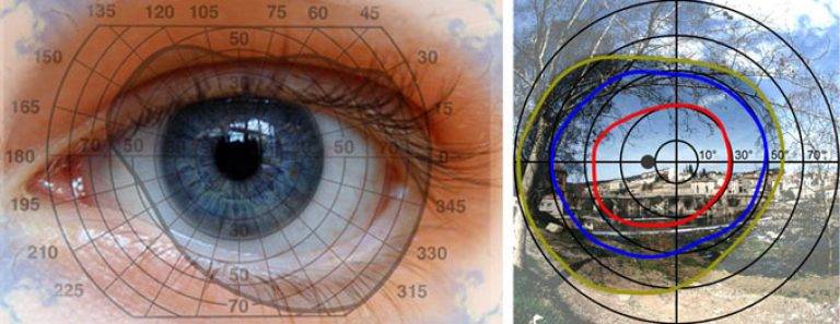 Туннельное зрение (боковое): симптомы и лечение, тренировка периферического зрения, как развить, пропало на одном глазу