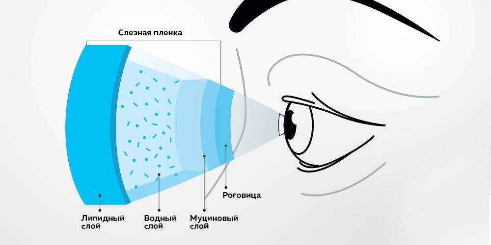 Сухой глаз. симптомы синдрома сухого глаза. причины сухости в глазах, диагностика и лечение патологии. какие капли капать при сухом глазе? :: polismed.com