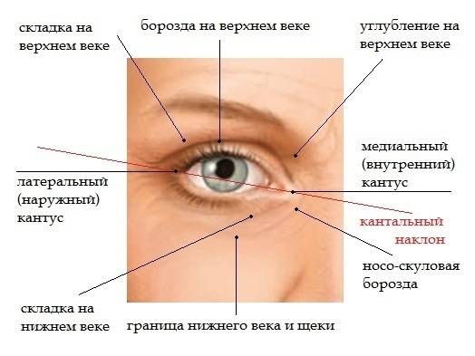 Красный уголок глаза: возможные причины и методы лечения - sammedic.ru