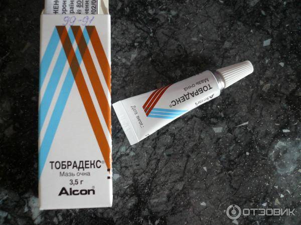 Глазные капли тобрадекс: отзывы, цена, инструкция по применению - medside.ru
