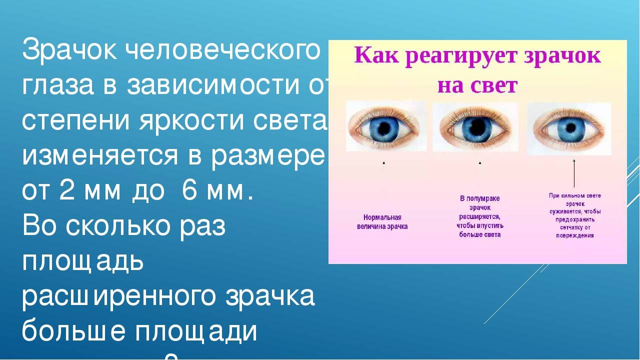 Светочувствительность глаз: причины, диагностика и лечение болезни