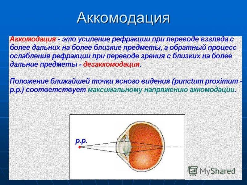 Нарушение рефракции глаза: определение, виды в офтальмологии и влияние на зрение