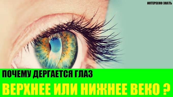 Почему дергается правый глаз: причины тика, что делать если стало долго или постоянно пульсировать веко,