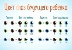Определение цвета глаз ребенка по глазам родителей - таблица