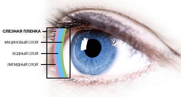 Синдром сухого глаза – симптомы и лечение