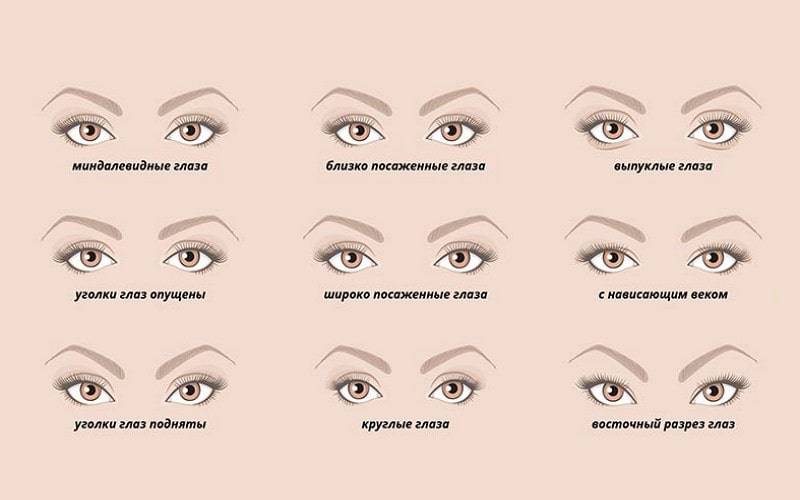 Описание основных видов глаз у человека — как определить форму и подробное описание