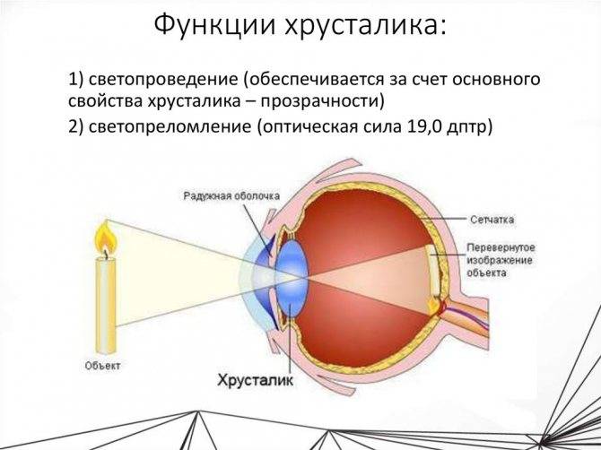 Особенности послеоперационного периода после замены хрусталика глаза при катаракте
