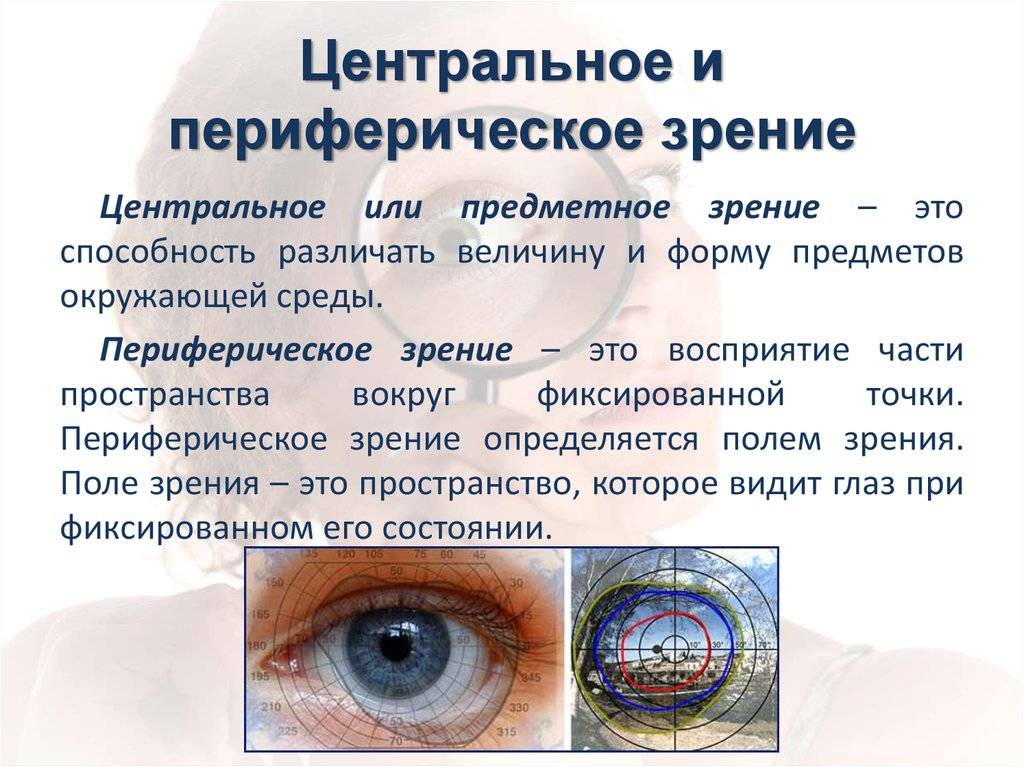 Периферическое зрение: виды и причины нарушений - "здоровое око"