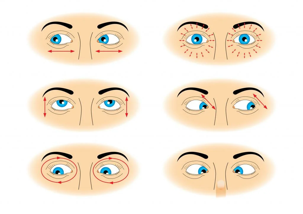 Гимнастика для глаз: правила выполнения - "здоровое око"