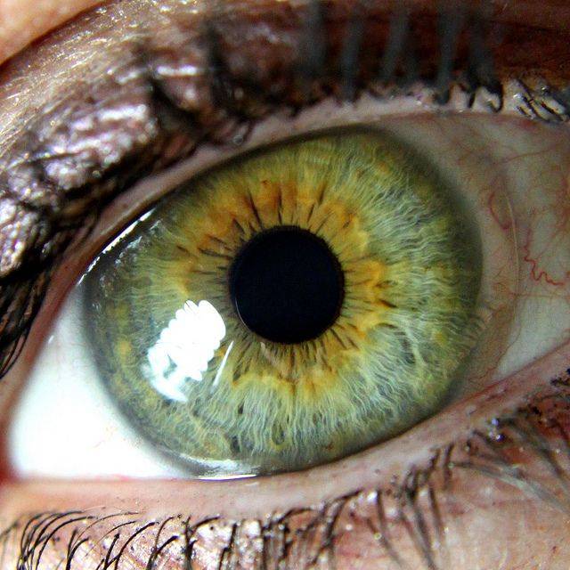 Зелено-карие глаза