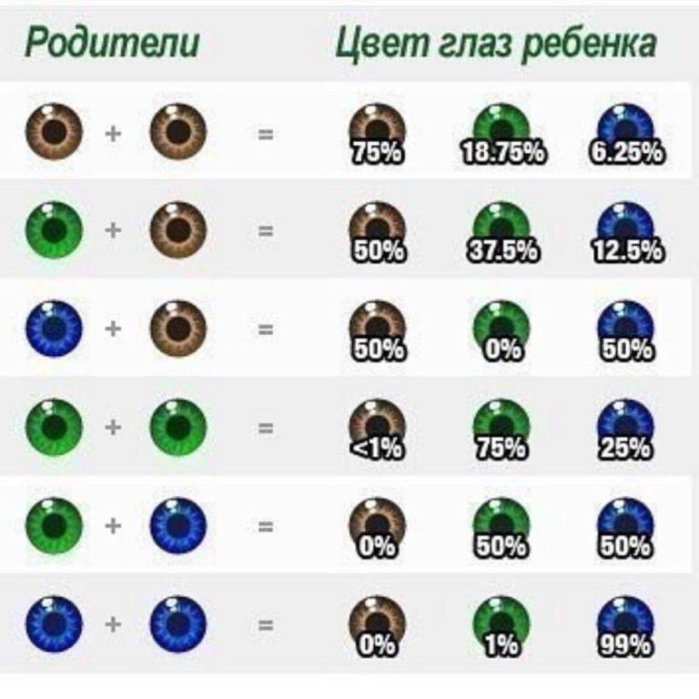 Какой цвет глаз у ребёнка будет от родителей - таблица oculistic.ru
какой цвет глаз у ребёнка будет от родителей - таблица