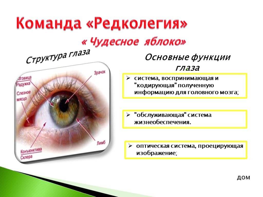 Что такое гиперемия конъюнктивы глаза и как её лечить oculistic.ru
что такое гиперемия конъюнктивы глаза и как её лечить