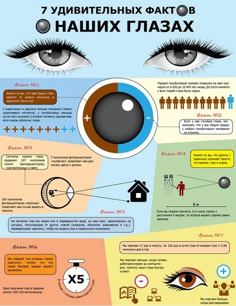 15 интересных фактов о глазах и зрении