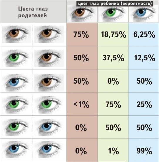 Возможные цвета глаз у ребенка от родителей: таблицы