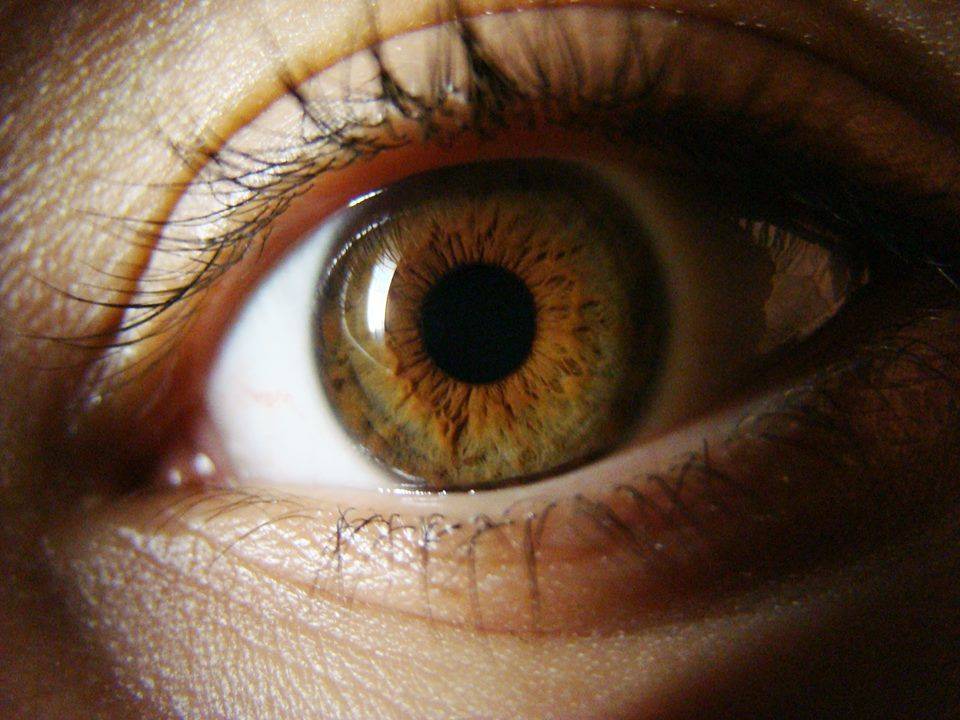 Люди с карими глазами более надежные, и другие факты о цвете глаз