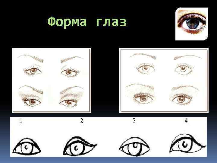 Типы глаз у человека