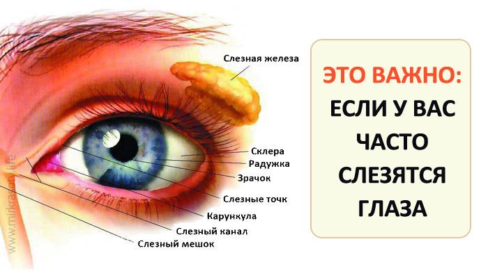 Глаз покраснел, слезится и болит: возможные причины, лечение oculistic.ru
глаз покраснел, слезится и болит: возможные причины, лечение