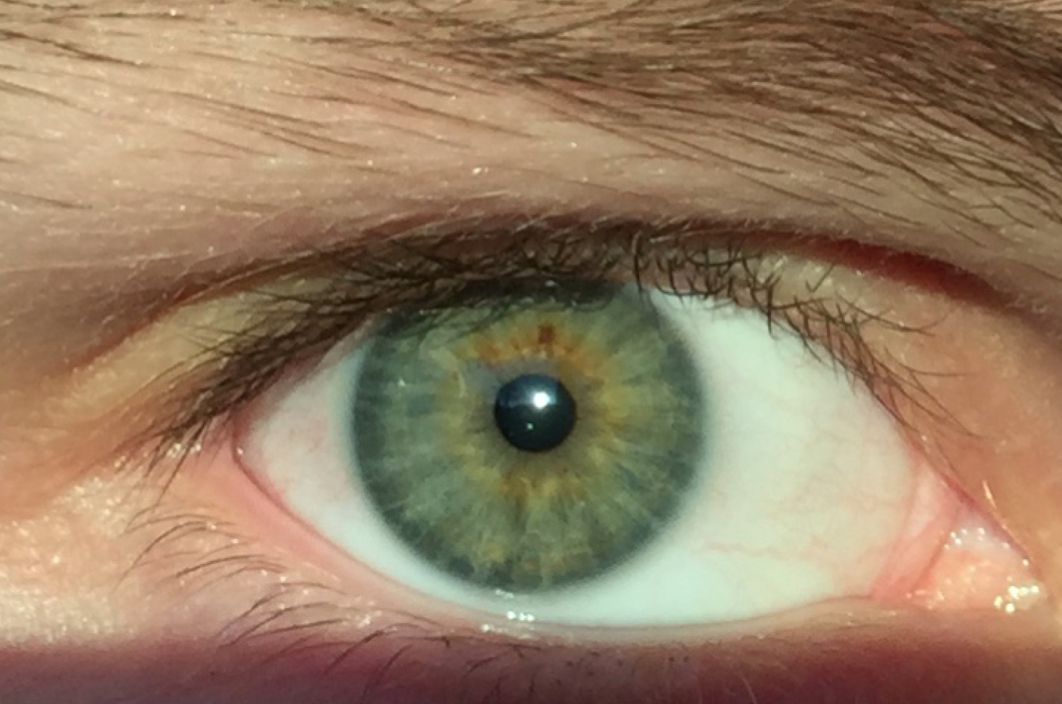 Самые редкие виды цвета глаз: янтарный, болотный, сапфировый и зелёный