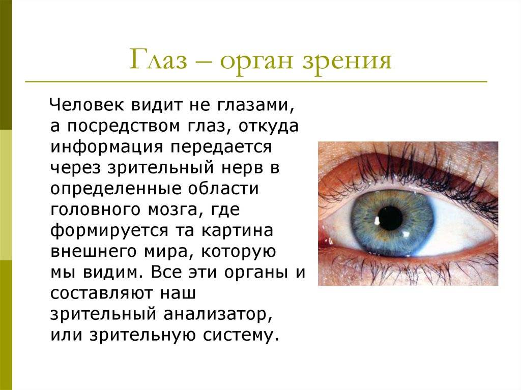 Название цвета глаз и характер человека. описание характера