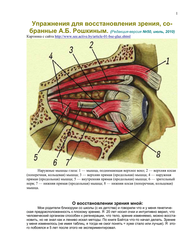 Круговая мышца глаза - анатомическое строение, функции