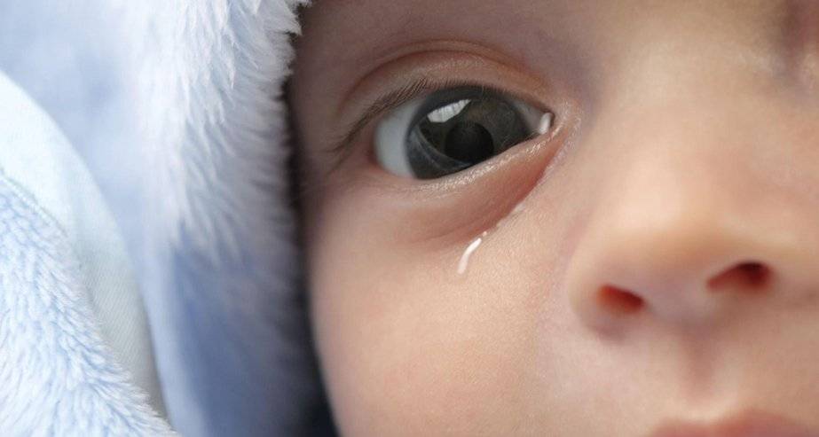 Почему у ребенка гноятся глаза? | компетентно о здоровье на ilive