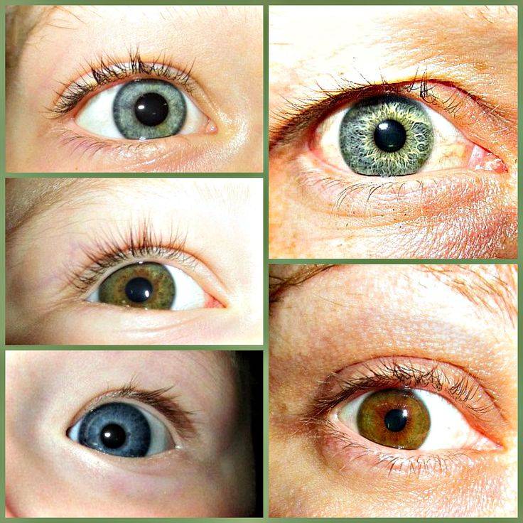 Наследование цвета глаз — закономерность или случайность