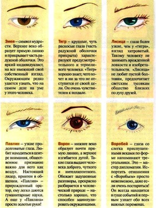 Как определить человека по глазам - характер по форме и цвету глаз