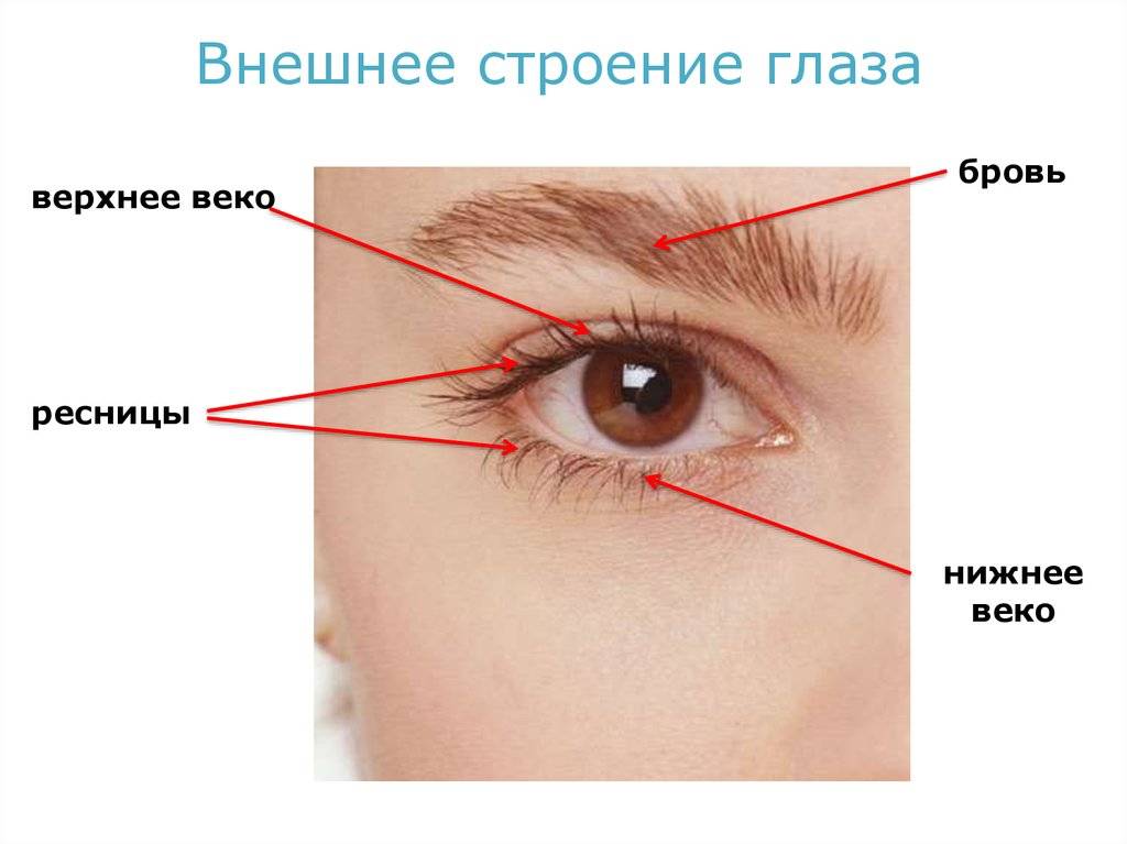 Болит кожа во внешнем углу глаза