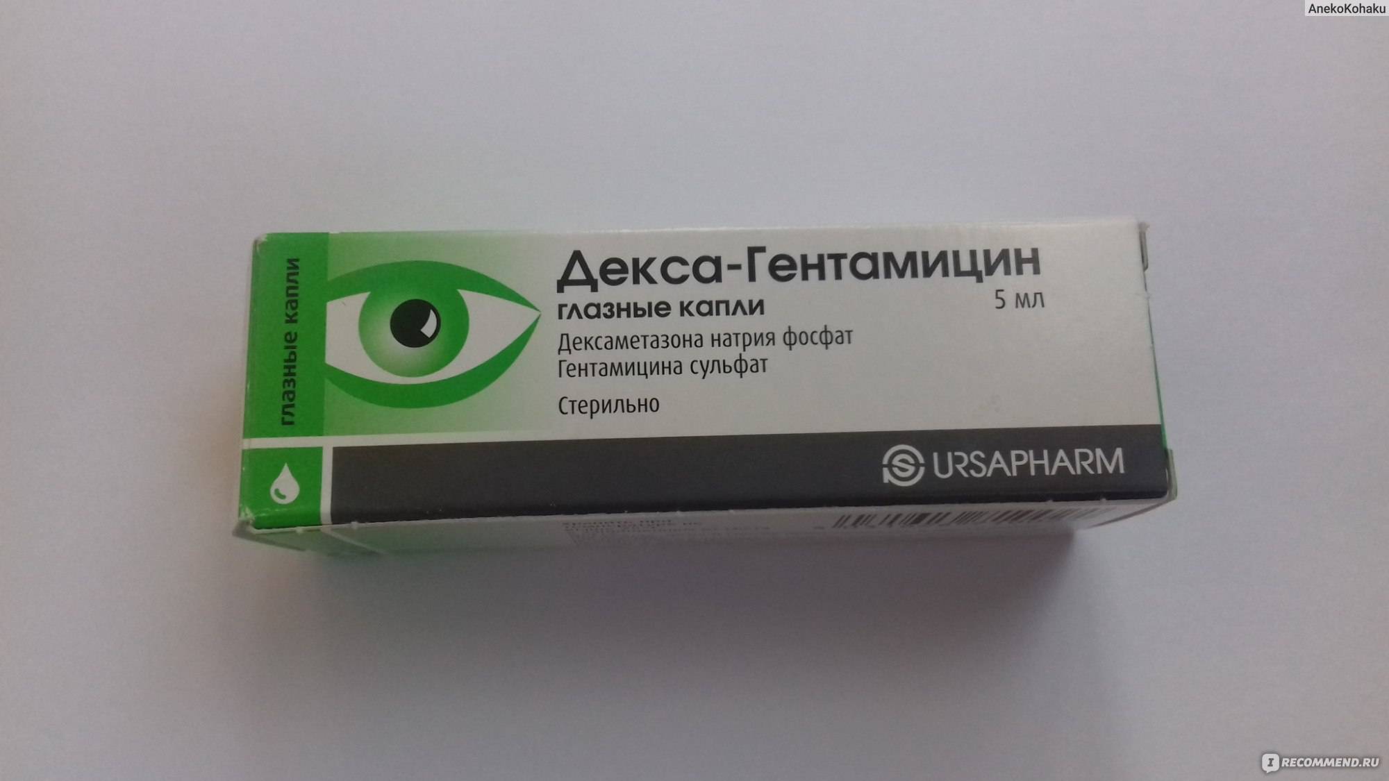 Декса гентамицин: инструкция по применению, глазная мазь и капли при халязионе, отзывы