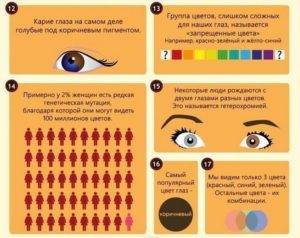 20 невероятных фактов о глазах и зрении  | fresher - лучшее из рунета за день