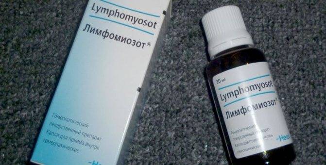 Лимфомиозот в комплексной терапии отеков. «лимфомиозот» - эффективный препарат при борьбе с тонзиллитом дозировка и способ применения