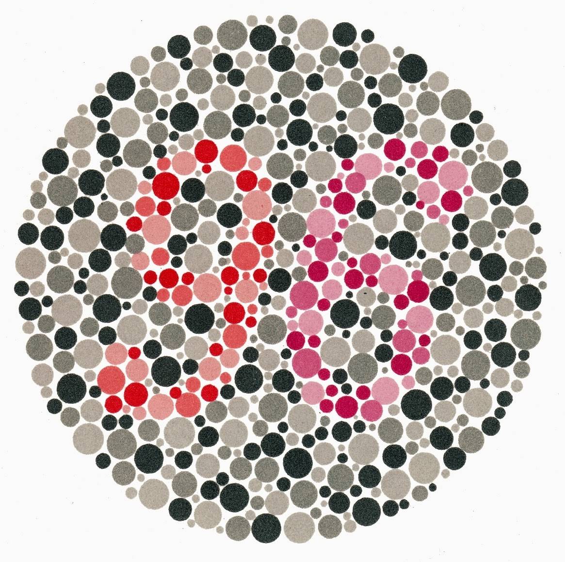 Таблицы рабкина для исследования зрения на цветовосприятие – тест на дальтонизм с большими картинками и с ответами онлайн