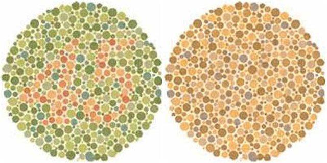 Нарушение цветового зрения: проверка зрения на цветовосприятие, симптомы и признаки, виды болезни и способы коррекции